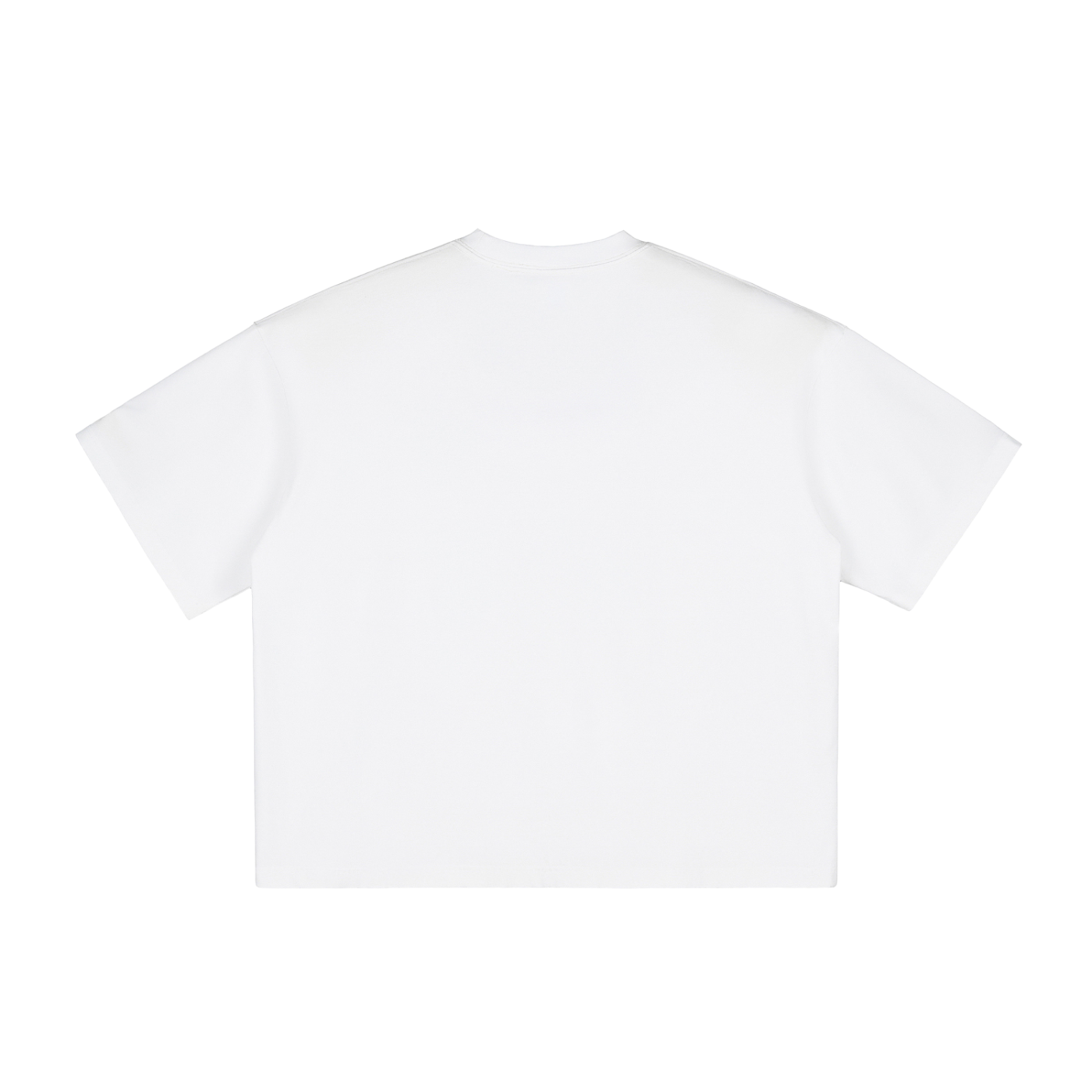 Plain white T-shirt shown from the back, short sleeves, and a round neckline.