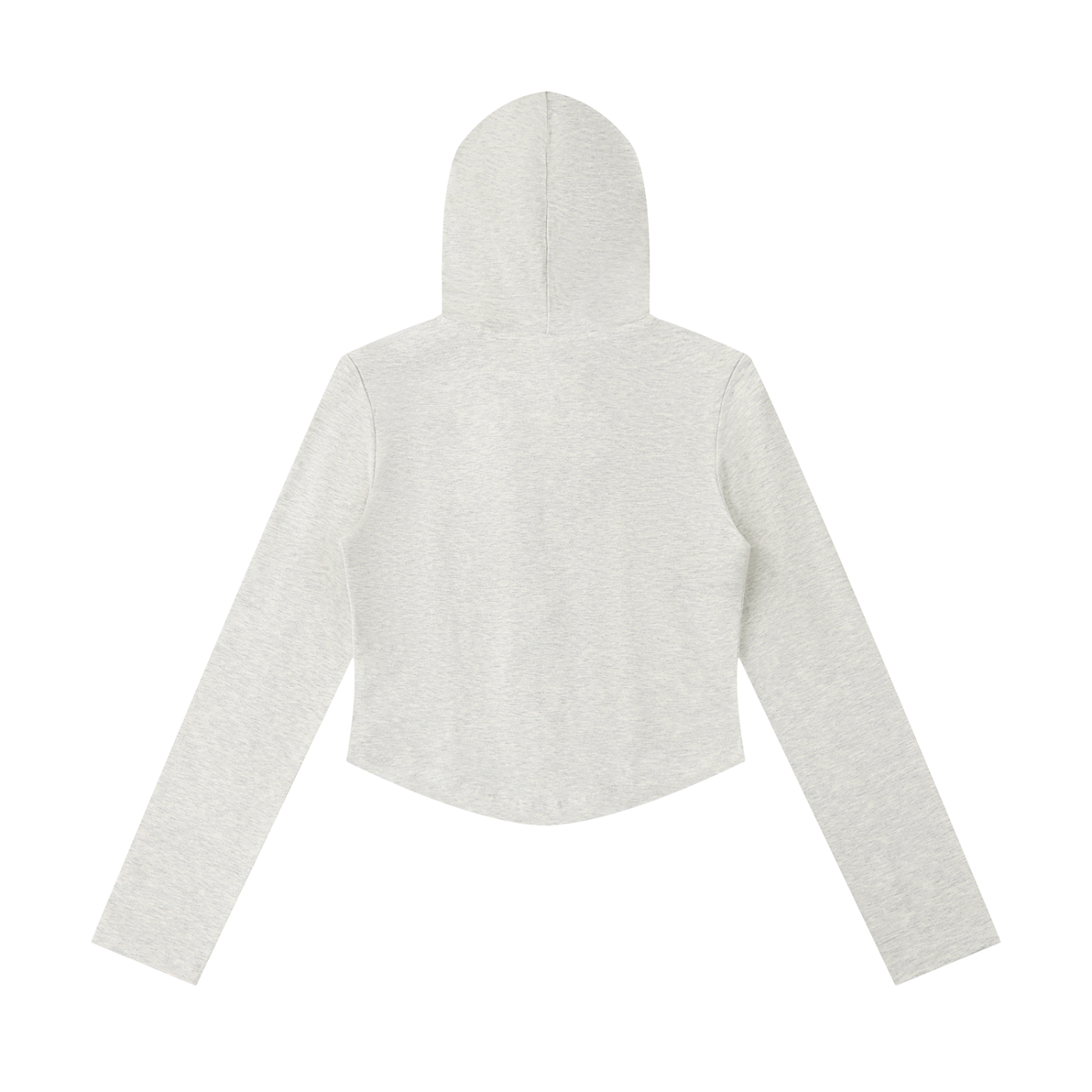 Gray hooded sweatshirt with long sleeves, shown from the back on a white background.