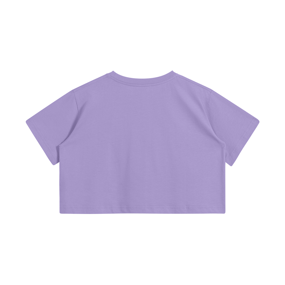 Airamak Basic Crop T-Shirt